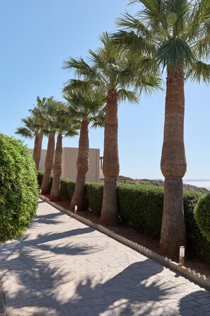 Taman