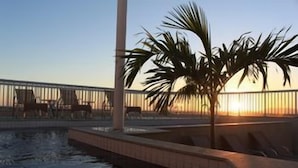 Un espace piscine agrémenté d’un palmier, de chaises et d’une rambarde.