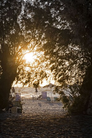 On the beach - Angela & Thalia Apartments (Kos)