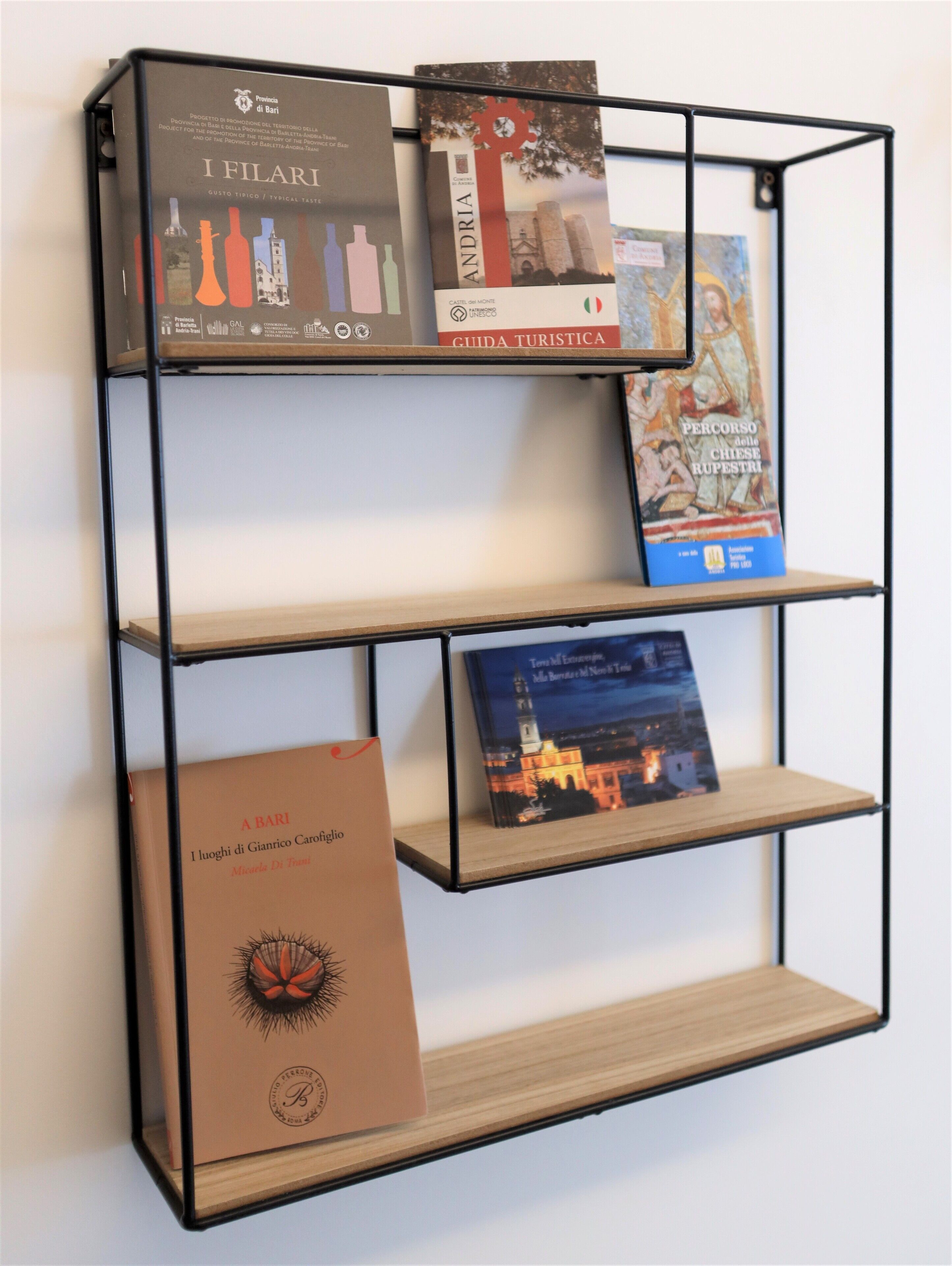 A metal shelf with four books and a brochure.