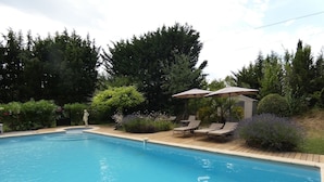 Una piscina con sillas de descanso y sombrillas, rodeada de vegetación.