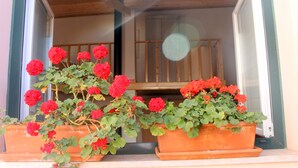 Two terracotta flower pots with red geraniums on a balcony.