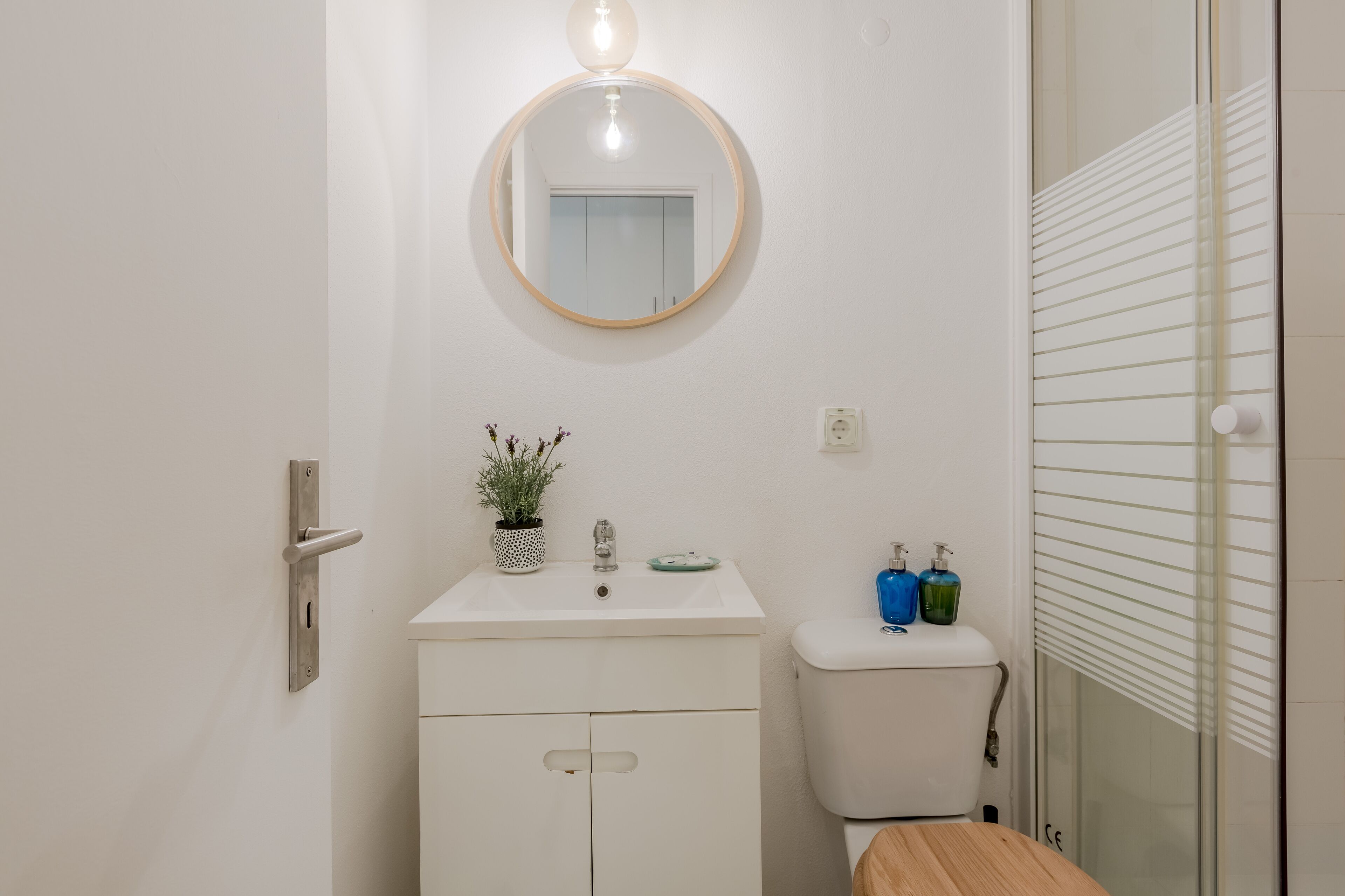 A bathroom with a white sink, a mirror, a potted plant, and two soap dispensers.