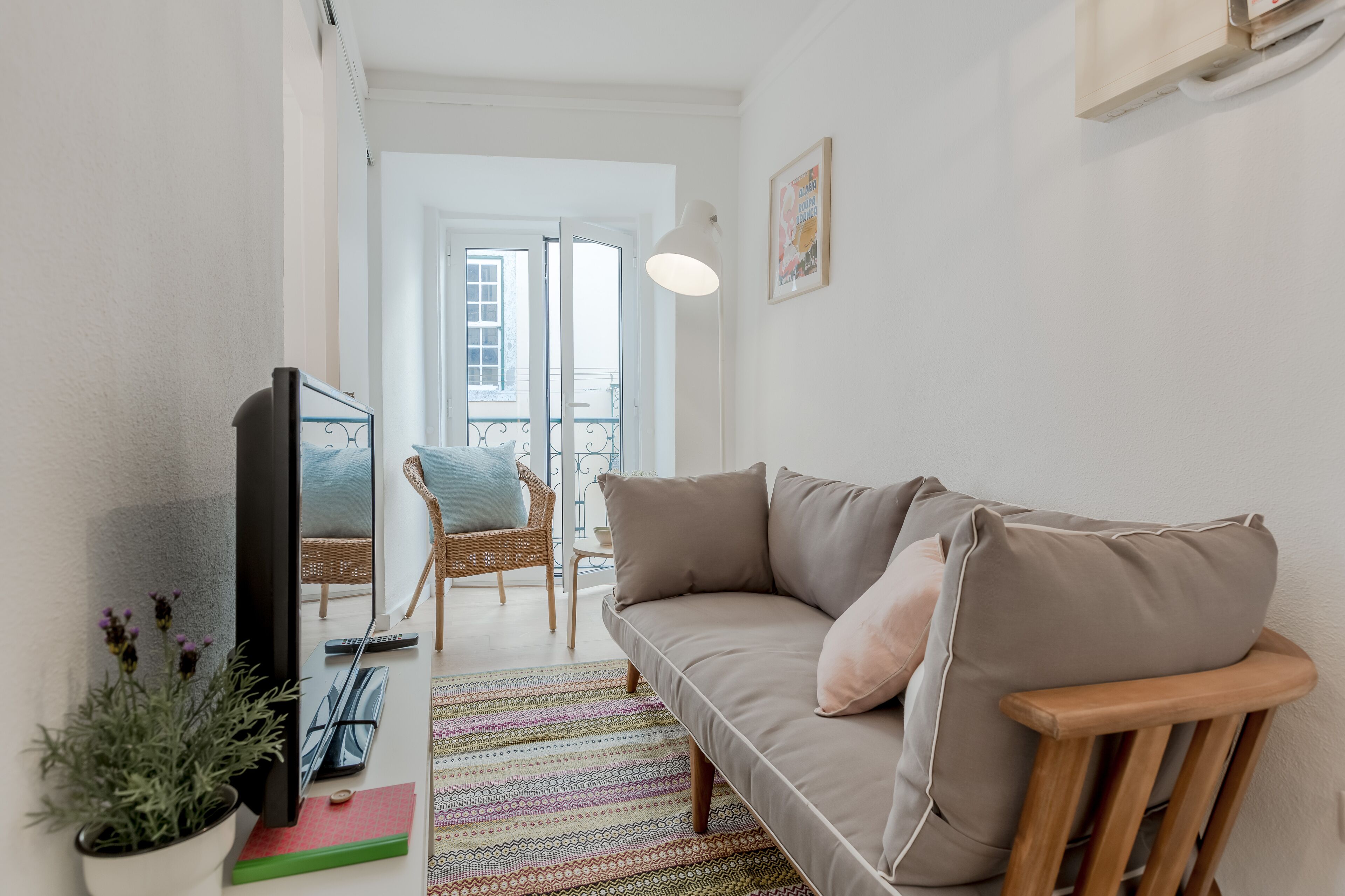 A modern living room with a sofa, a TV, a potted plant, and a patterned rug.