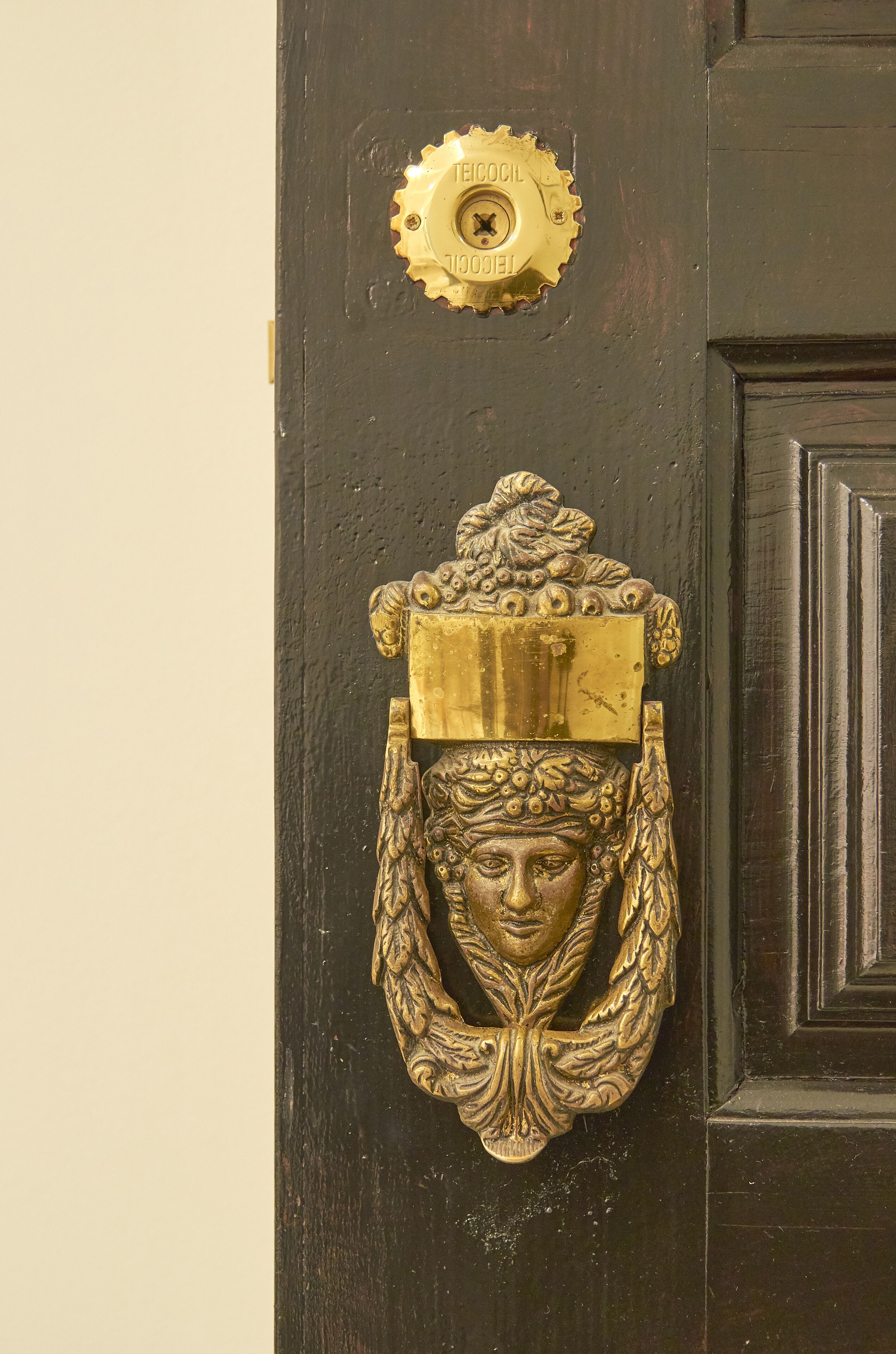 A brass door knocker with a lion's head and a circular emblem above it.