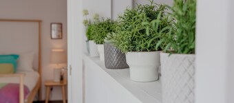 Sunny Apartment with Patio, By TimeCooler