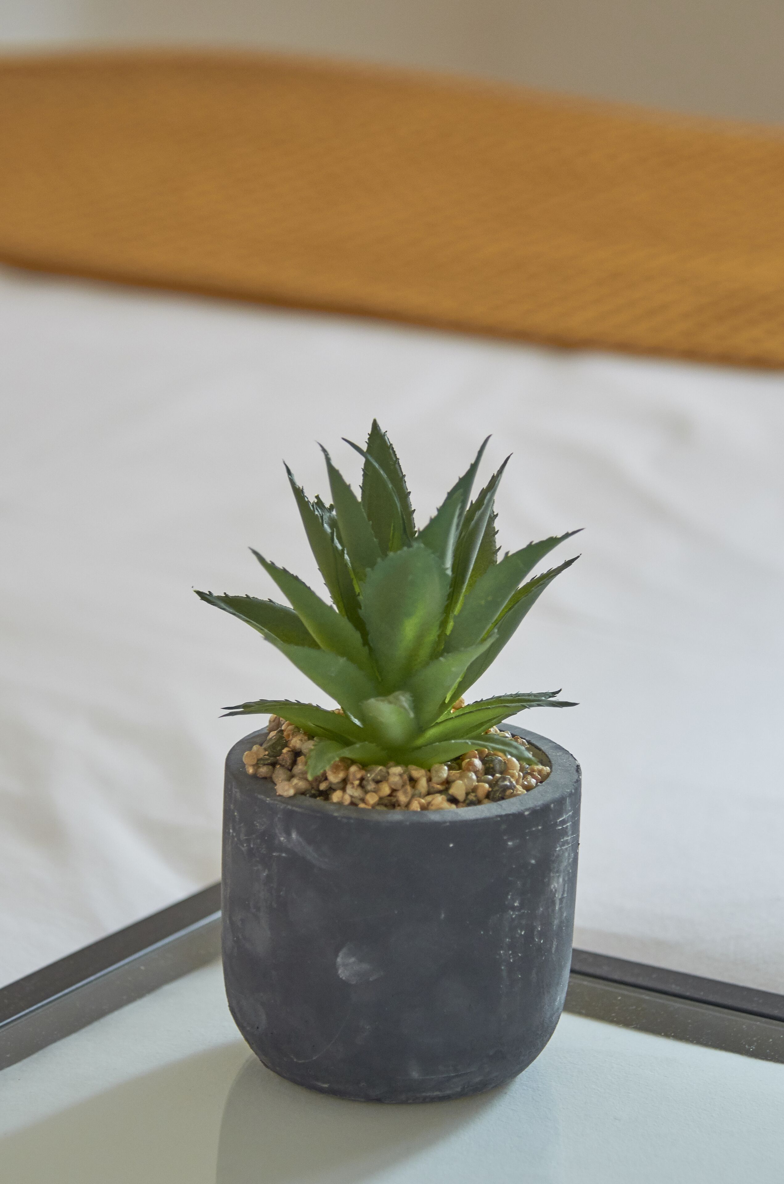 Een kleine plant in een pot met groene bladeren en kleine kiezelsteentjes op een wit oppervlak.