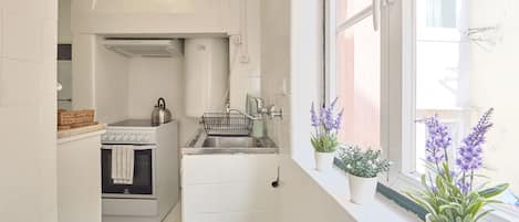 Appartement, 1 chambre | Cuisine privée | Grand réfrigérateur, micro-ondes, four, plaque de cuisson