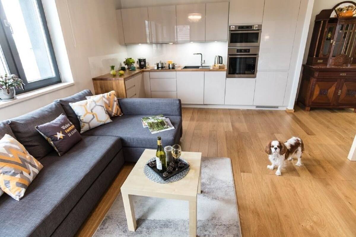A modern living room with a grey sofa, a coffee table with a bottle and glasses, and a dog.