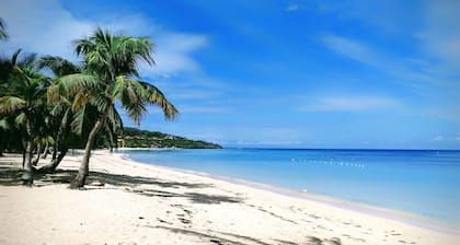 Seaside Inn: Macaw King Suite - ¡Piscina privada! West Bay Beach!