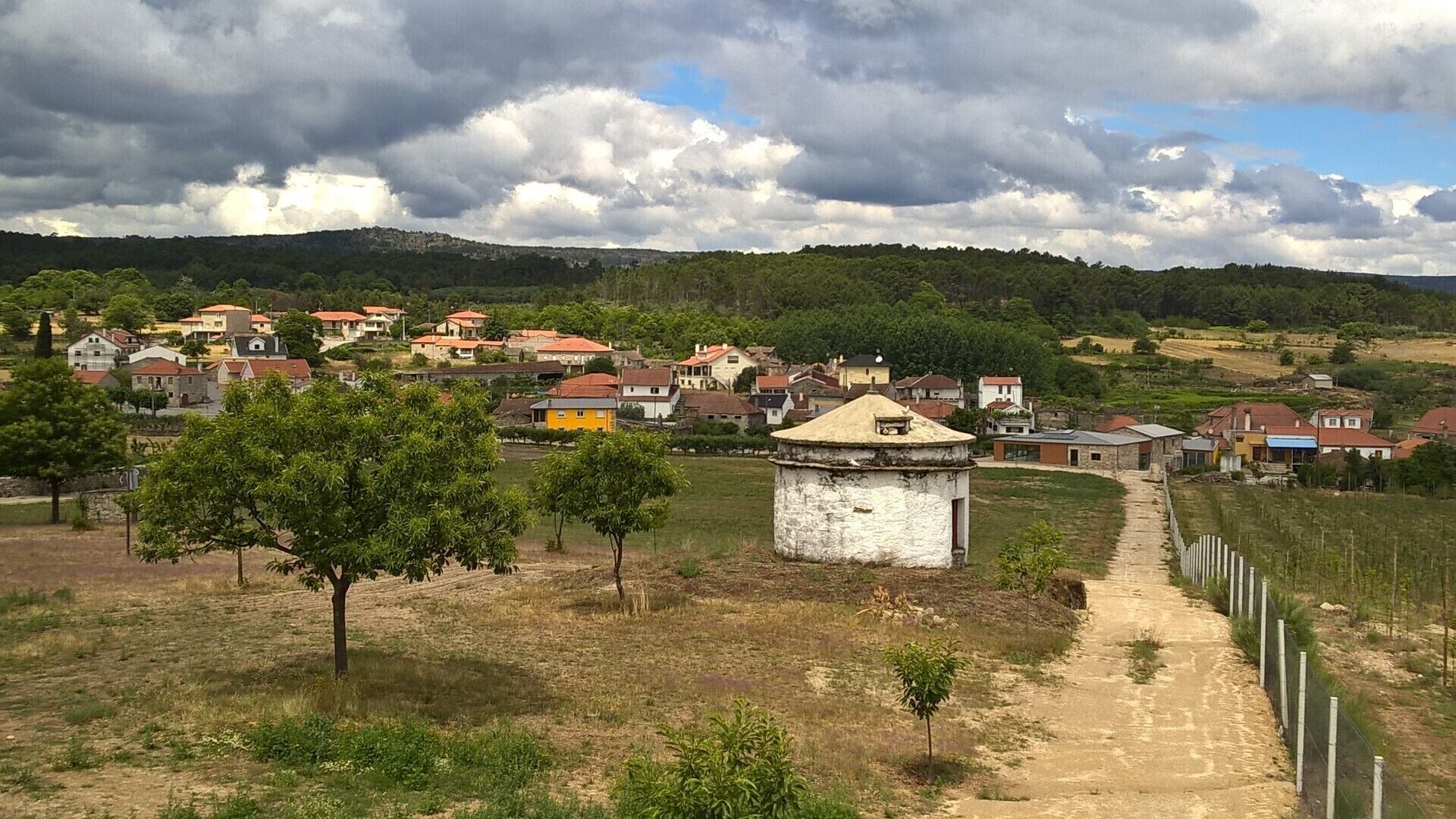 Sequeiros Houses - Resineiro Houses