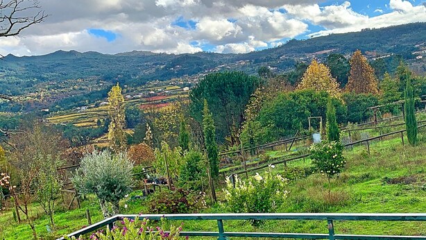 Una terraza con vistas a un paisaje montañoso, plantas en macetas y una baranda de metal.