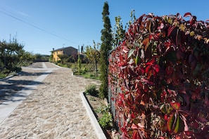 A cobblestone street with a stone wall on one side and a row of houses in the background. - Casas de Sequeiros (Aguiar da Beira)