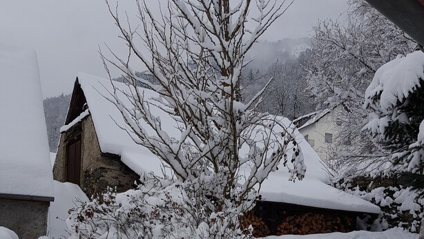 Un paysage enneigé avec une maison et un arbre au premier plan.