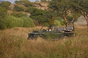 Land view from property