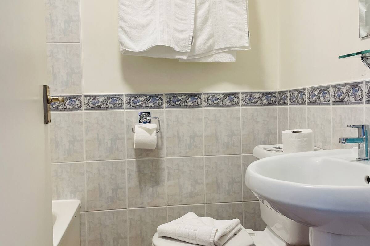 classic double room | 1 bedroom, iron/ironing board, free wifi, bed sheets