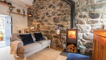 Smart TV, chimenea, reproductor de DVD y videoteca