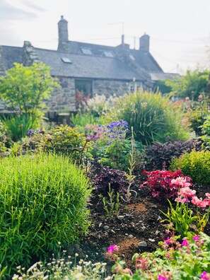 Property grounds - Romantic and cosy cottage,  countryside views, near to the beach and mountains (Harlech)