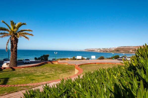 A coastal view with a palm tree, a paved walkway, and a clear blue sky.