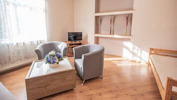Apartamento Confort | Sala de estar | Una televisión