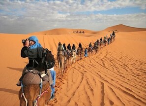 Exterior - Les jardins de Merzouga (Taouz)