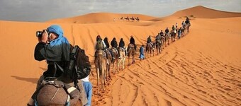 Les jardins de Merzouga