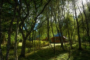Property grounds - Secluded woodland cottage on the banks of a pristine Highland river (Cannich)