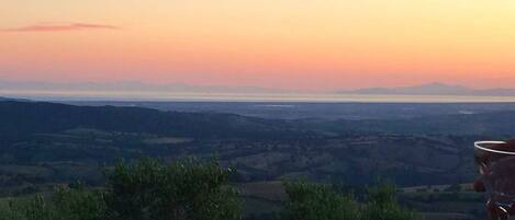 Nourriture et boissons