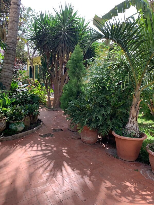 Property grounds - Studio in Tropical Garden (Dakar)