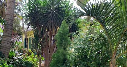 Studio in Tropical Garden