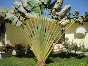 House | Property grounds - Studio in Tropical Garden (Dakar)
