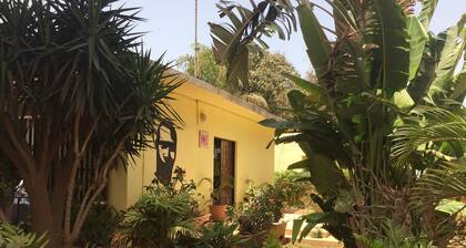Studio in Tropical Garden