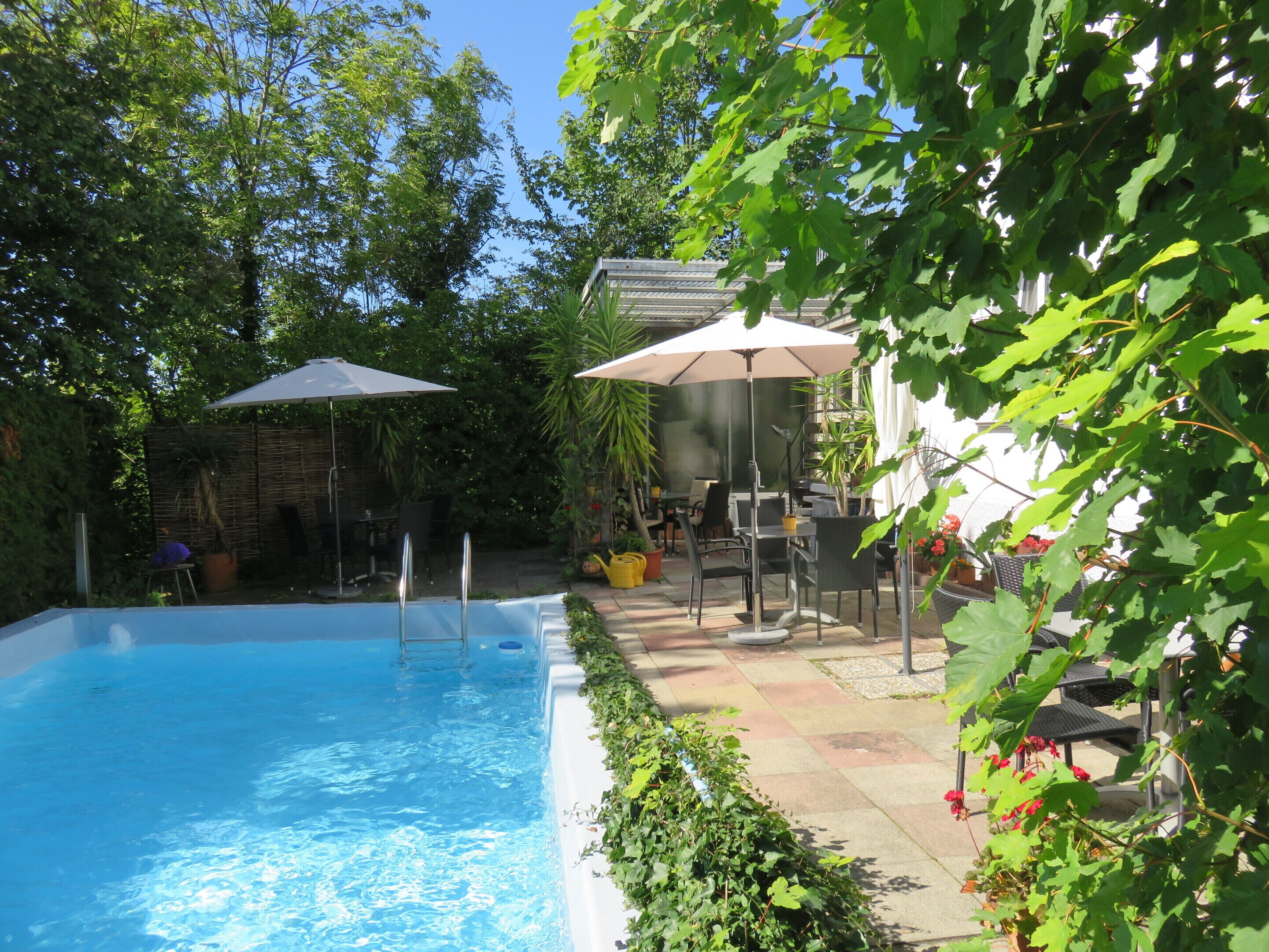 室外泳池；躺椅