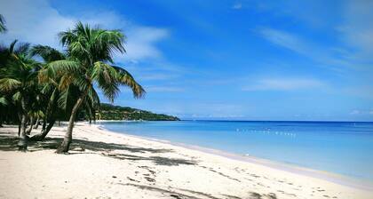 Seaside Inn: Toucan King Suite- ¡Piscina privada! West Bay Beach !!