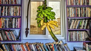 Une pièce avec des étagères remplies de livres, une fenêtre donnant sur un beau paysage et une grappe de bananes suspendue au plafond.