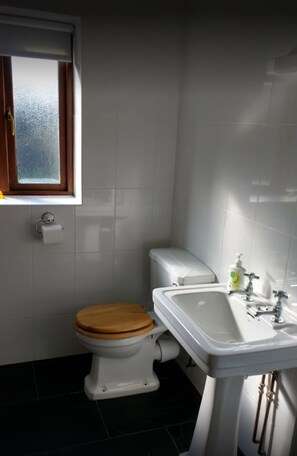 A bathroom with a toilet, a sink, and a window. - Honey Cottage (Amlwch)