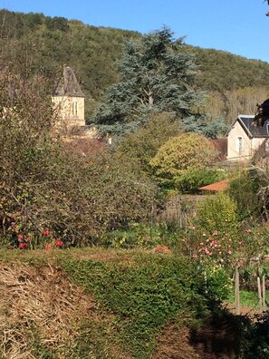 Eine ländliche Landschaft mit einem Steinhaus, dichter Vegetation und verschiedenen blühenden Pflanzen.
