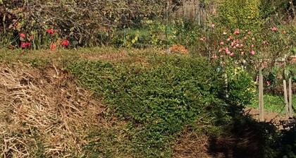 Emplacement pittoresque du centre du village, restaurants et magasins Ă quelques pas