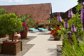 Une cour agrémentée de plantes en pot, un chemin dallé et des fauteuils de jardin.