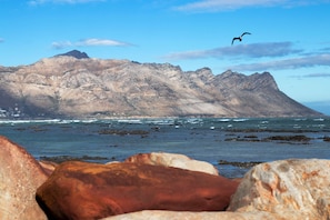 Une côte rocheuse, avec une montagne en arrière-plan et un oiseau en vol.