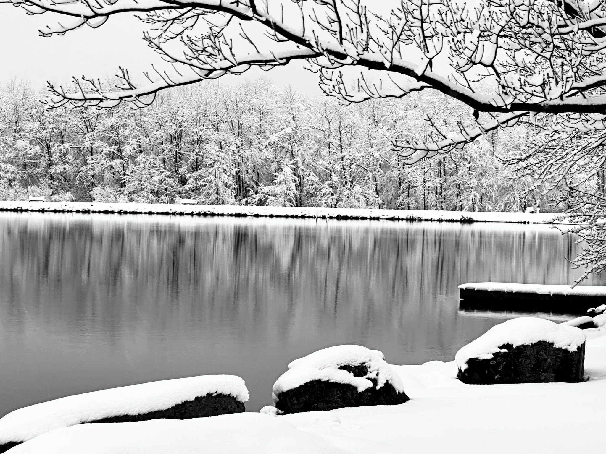 Escena invernal tranquila con un lago cubierto de nieve, árboles y rocas.