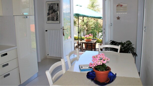 Un comedor con una mesa, sillas, una planta en maceta y vistas al exterior.