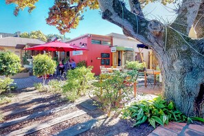 Garden - Somerset Oaks (Cape Town)