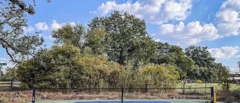 Sport court