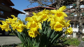 Jardín