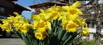 Pension Sunnmatt