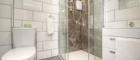 Hair dryer, towels, soap, shampoo