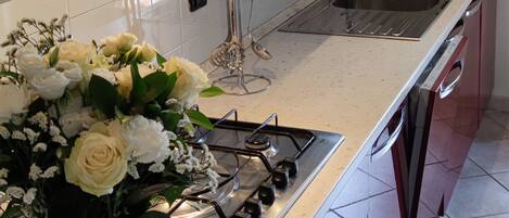 Fridge, oven, dishwasher, coffee/tea maker