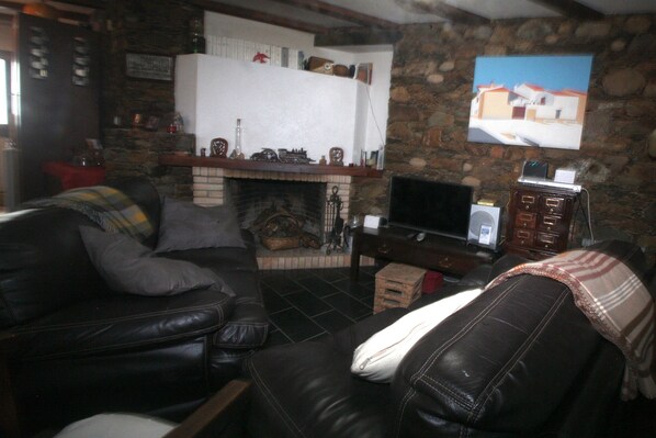 Flat-screen TV, fireplace, books