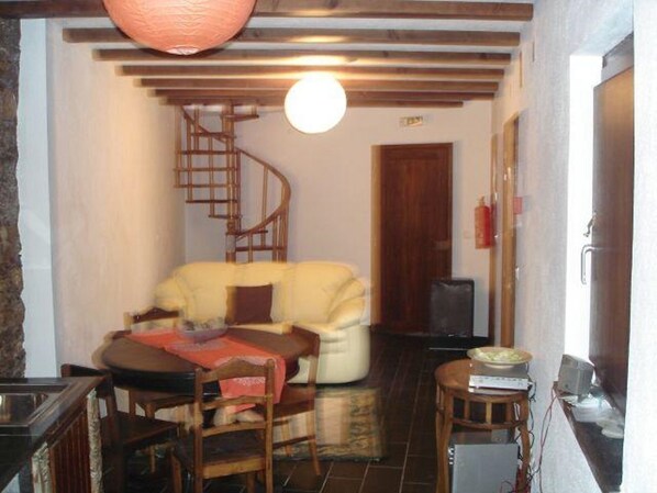 Flat-screen TV, fireplace, books